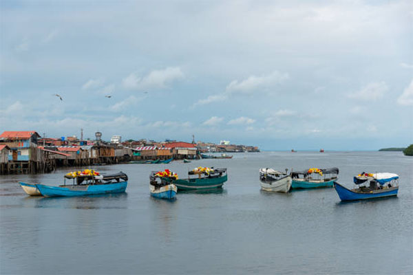 pago de patente pesquera