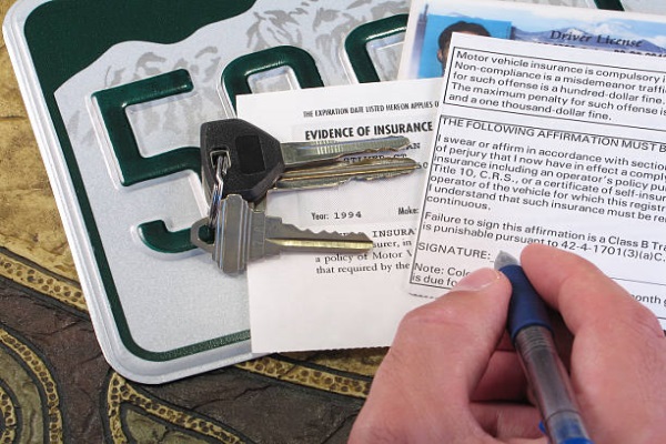 obtener padrón de un auto