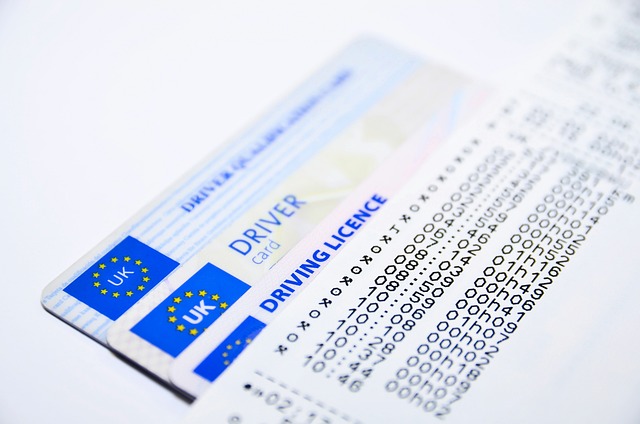 Cómo Verificar Licencia de Conducir por RUT en Chile